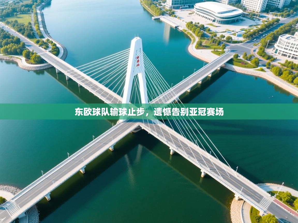 东欧球队输球止步，遗憾告别亚冠赛场  第1张