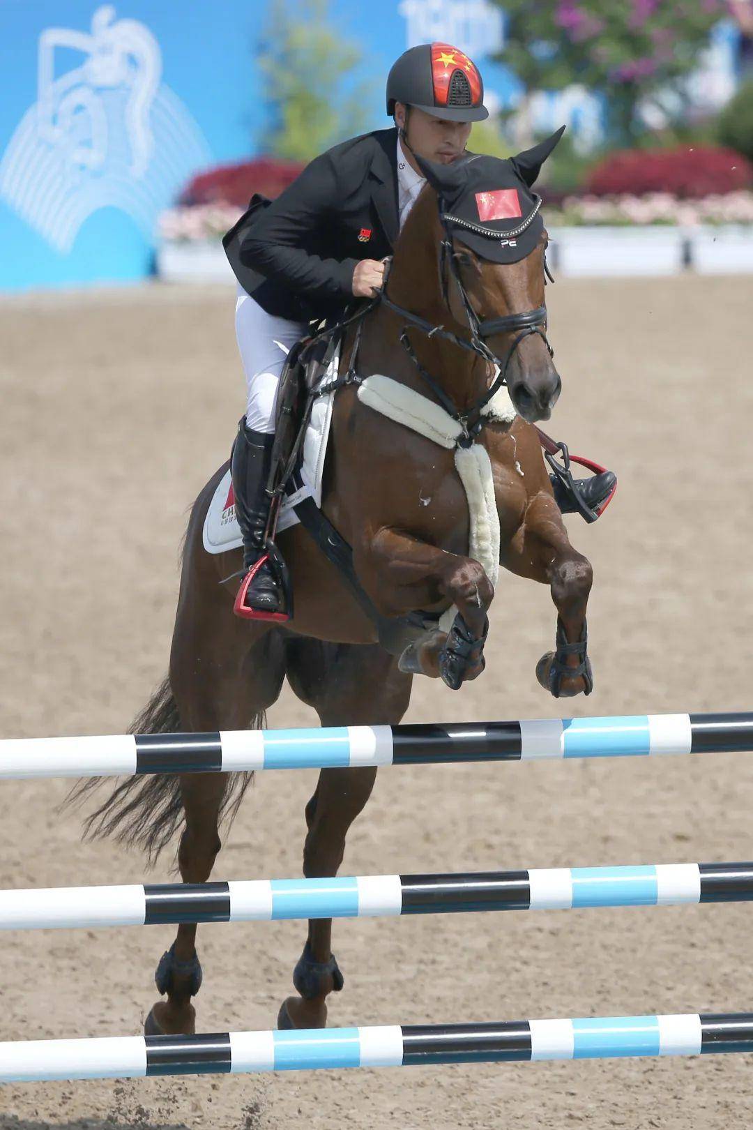 爱游戏官方登录入口-马术团体障碍赛：中国队勇夺金牌